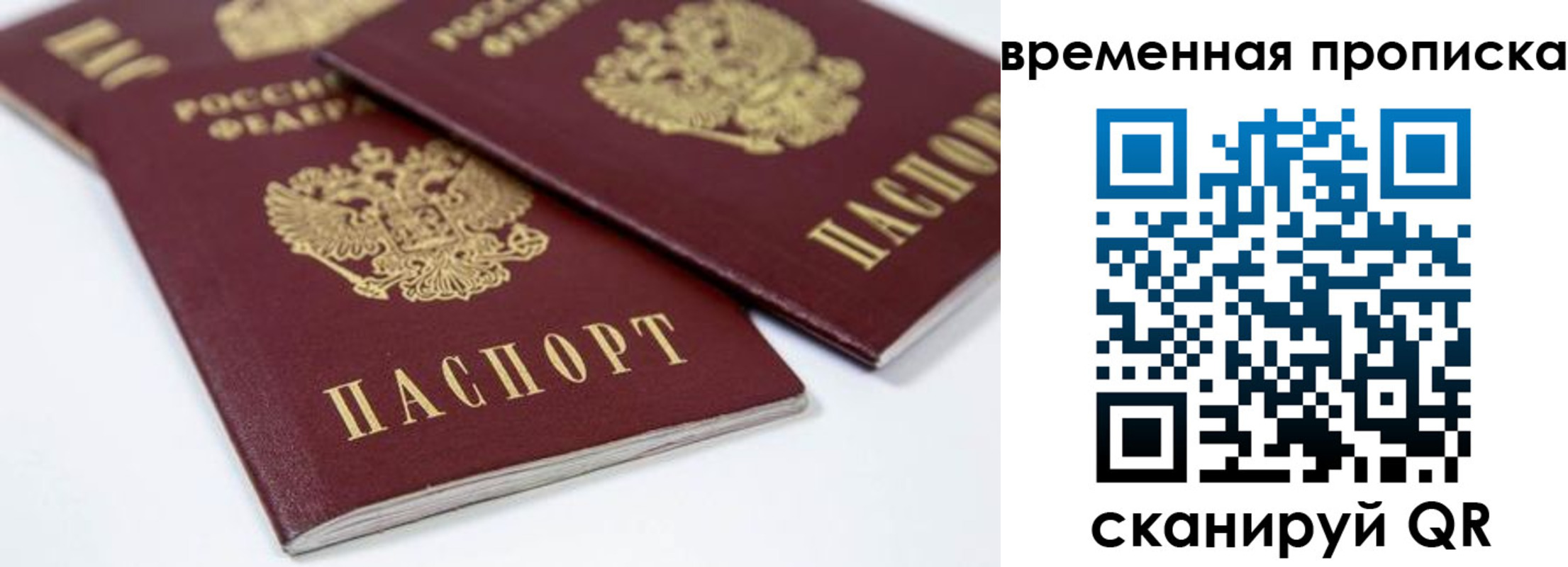 прописка для школы в Тульской области
